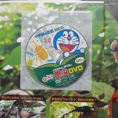 小学館の図鑑NEO　昆虫の画像
