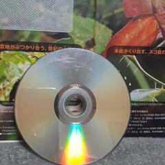 小学館の図鑑NEO　昆虫の画像