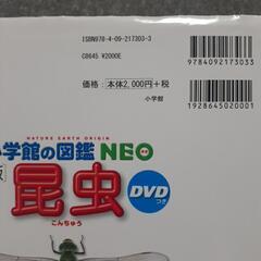 小学館の図鑑NEO　昆虫の画像
