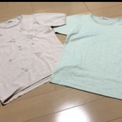 Mサイズ半袖Tシャツ3枚セット