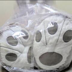 【お取引 決定しました】コストコ  BIGサイズ！ くま🧸 ぬいぐるみ    の画像