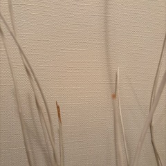 トルカ　花瓶セット（装飾付）の画像