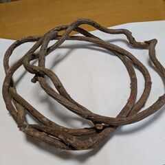 樹上性爬虫類用とまり木③