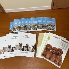 動物看護介護講座 ヒューマンアカデミー 通信教育 DVD教材