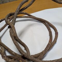 樹上性爬虫類用とまり木③の画像