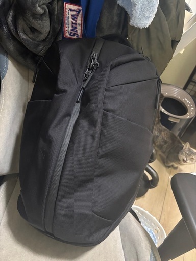 【美品・早い者勝ち】Aer FIT PACK 3