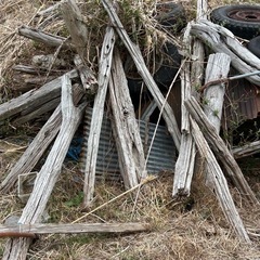 稲木欲しい方いませんか？
の画像
