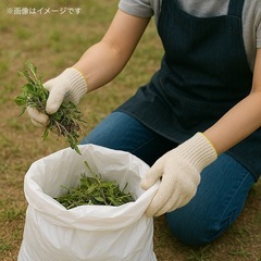 【片付け・清掃などで独立している方へ】暮らしサポート業務の委託スタッフ募集✨の画像