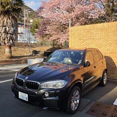 [個人販売 今週限定]BMW X5 xDrive35d Mスポー...