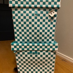 【引渡決定】収納　ボックス　ケース　box フライングダイガーの画像