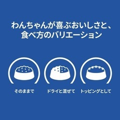 ヒルズ サイエンスダイエット ドッグフード 腸の健康サポートプラス 小型犬用 チキン ムース 200g×5缶 1歳以上 成犬用 高齢犬用 アダルト シニア ウェットの画像
