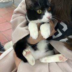 💚動画付き💚人見知りなし！大きな甘えん坊🧸はなくん