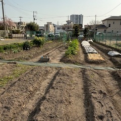 貸し農園令和7年度会員募集