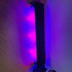 水槽のライト
の画像