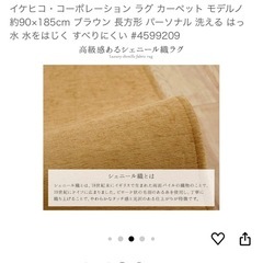 カーペット　の画像