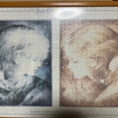 ジグソーパズル完成品