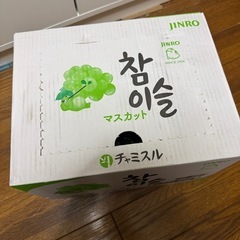 焼酎 チャミスル マスカット味 ケース 15本