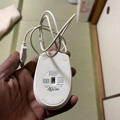 Mouse with wire