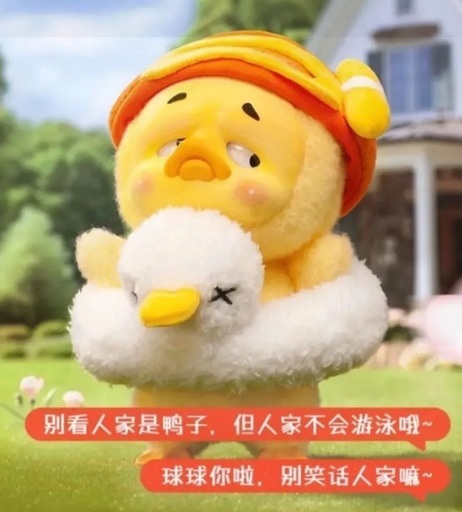 UPSETDUCK アップスダック うきわ アップダック  ぬいぐるみ 着せ替え アップセットダック