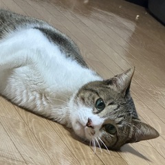 親になってあげて下さい