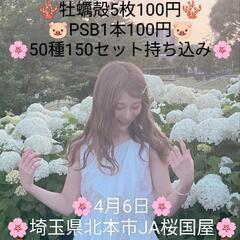 🌸はるいろめだか🌸極上メダカ🌸激安販売会🌸桜国屋🌸