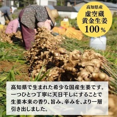 黄金しょうがのジンジャーエール 195ml