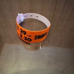 岡山春フェス　エイトボールフェス２０２５リストバンド２日券　八祭　の画像