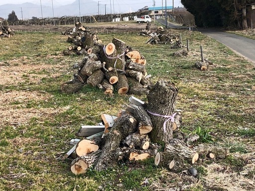 NO53 薪用の梨の玉切り 2トン車 引取り限定(福島市) NO53 薪用の梨の玉切り 2トン車 引取り限定(福島市)