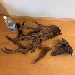 流木セット＊５本＊XXLサイズ有