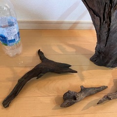 流木セット＊５本＊XXLサイズ有の画像