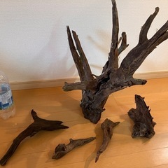 流木セット＊５本＊XXLサイズ有の画像