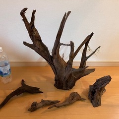 流木セット＊５本＊XXLサイズ有の画像
