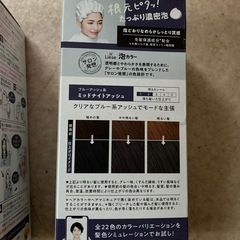 リーゼ　泡カラーの画像