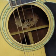 ギター モリス　morris w-20の画像