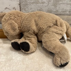 犬のぬいぐるみの画像