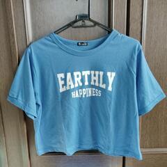 Tシャツの画像