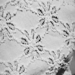 ブラウスの画像