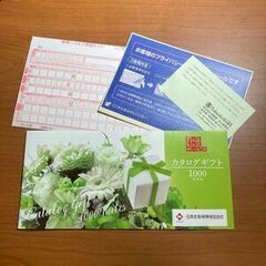 リンベル カタログギフト 1000マイル分 日本生命 ずっともっ...