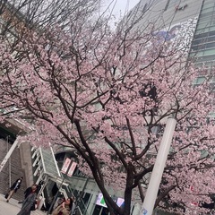 一緒に遊びに出かける友達がほしいです − 奈良県