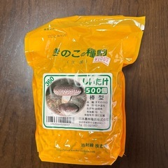 椎茸の種駒