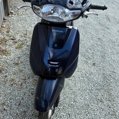 ホンダタクト　AF79の画像