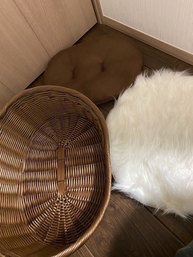 ニューボーンフォト　セット