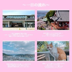 🌸参加者募集中🌸尾道散策交流会 - 尾道市