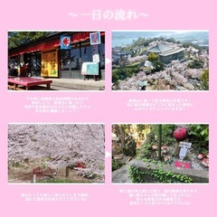 🌸参加者募集中🌸尾道散策交流会 - パーティー
