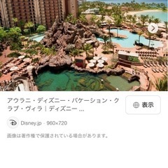 ハワイ（アウラニ）に同行してくださる方！募集します