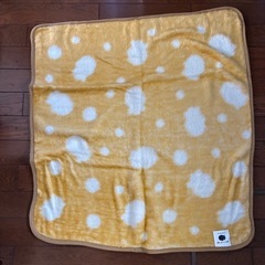 あったかひざかけ&クッションの画像