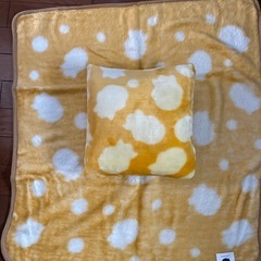 あったかひざかけ&クッションの画像