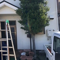 ☆伐採★草刈☆防草シート★砂利敷設…etc - 剪定/造園