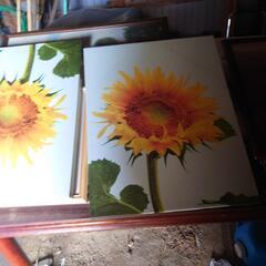 ひまわりの絵の画像
