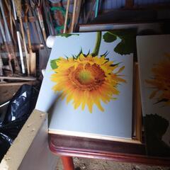 ひまわりの絵